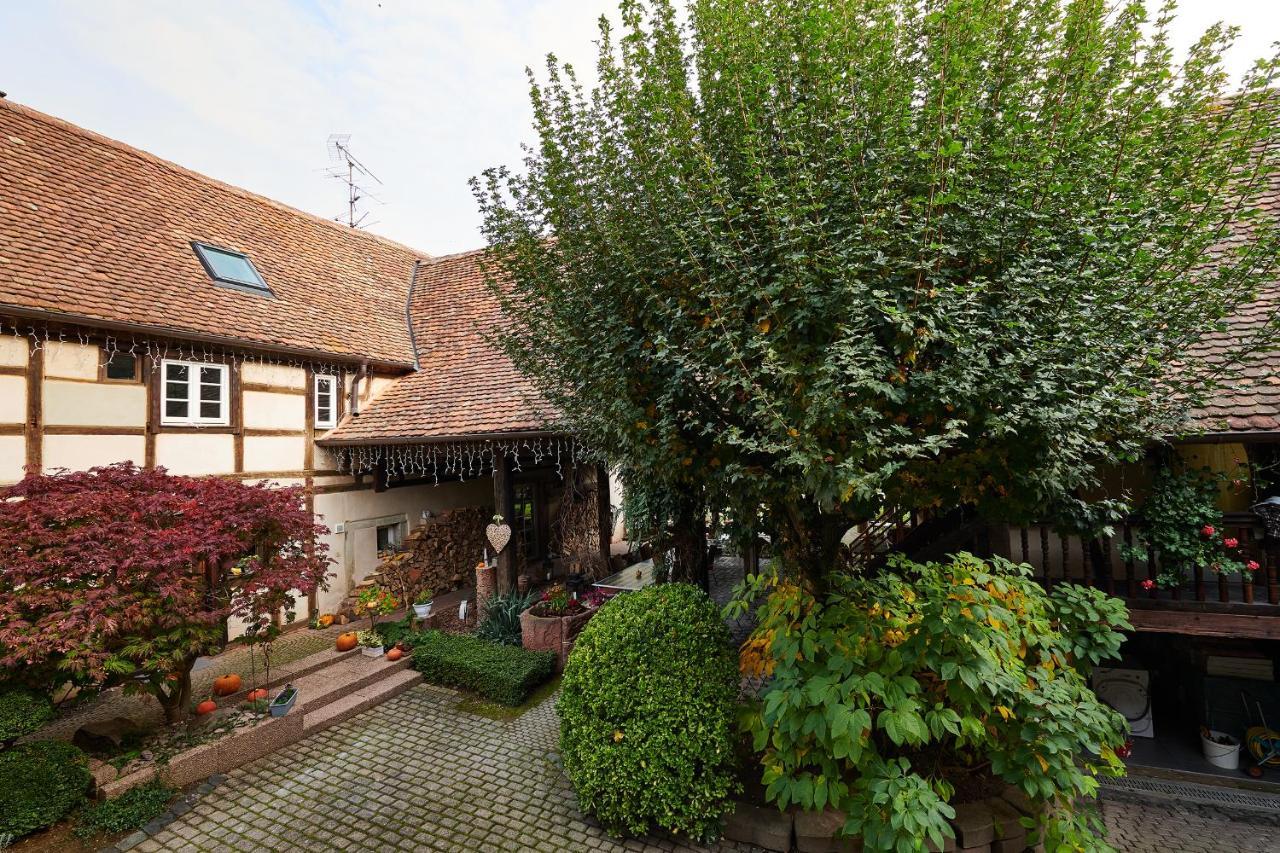 La Cour De Lise Maison D'Hotes Et Spa Willgottheim Kültér fotó